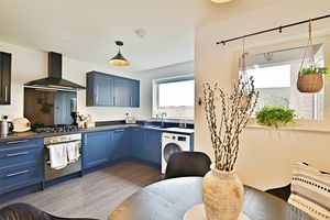 Photo 10- click for photo gallery